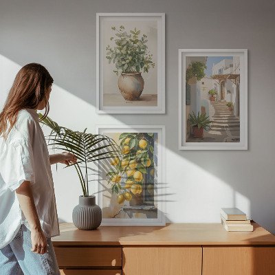 Lot de 3 tableaux pour salon Citronniers en pot rue
