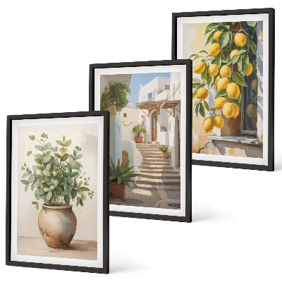 Lot de 3 tableaux pour salon Citronniers en pot rue