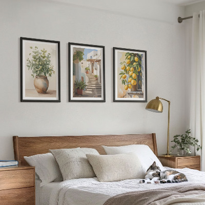 Lot de 3 tableaux pour salon Citronniers en pot rue