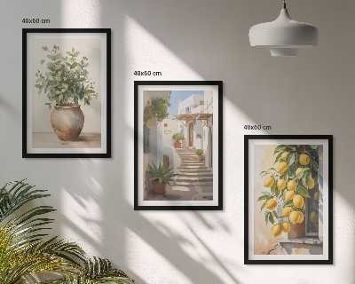 Lot de 3 tableaux pour salon Citronniers en pot rue