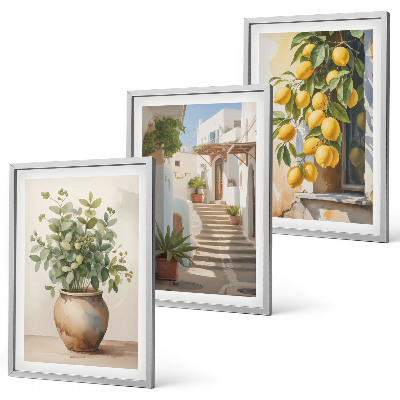 Lot de 3 tableaux pour salon Citronniers en pot rue