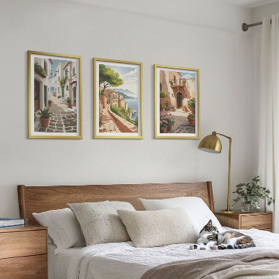 Cadre photo mural Rues, maisons, plantes, pots
