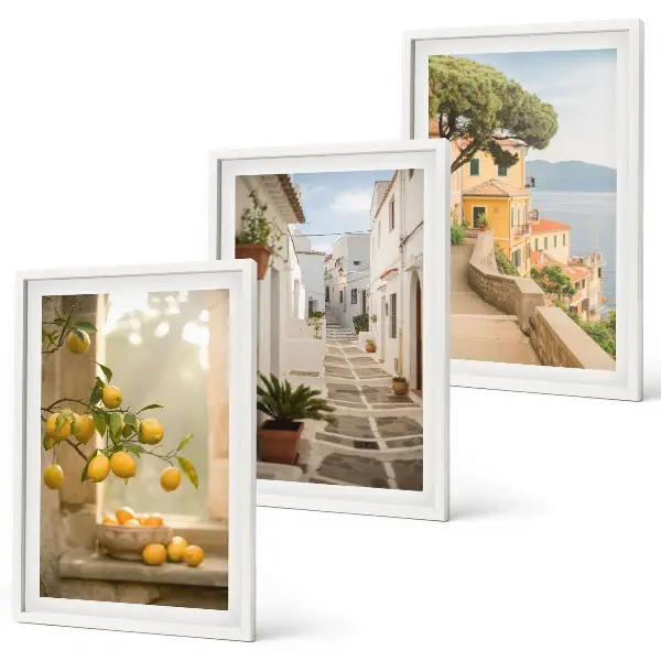 Lot de 3 tableaux pour salon vue sur des agrumes depuis la fenêtre