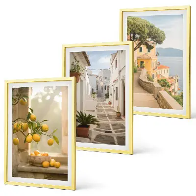 Lot de 3 tableaux pour salon vue sur des agrumes depuis la fenêtre