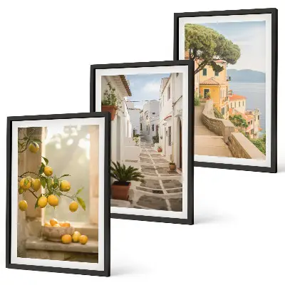 Lot de 3 tableaux pour salon vue sur des agrumes depuis la fenêtre