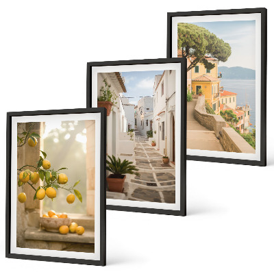 Lot de 3 tableaux pour salon Vue sur un agrumes depuis la fenêtre