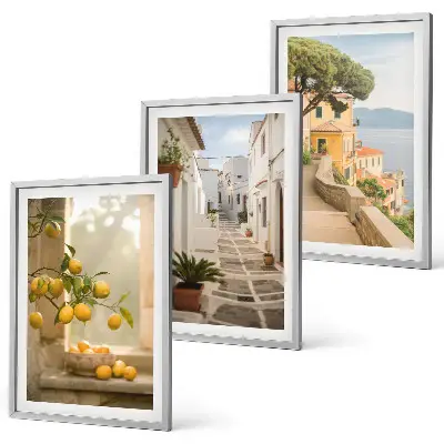 Lot de 3 tableaux pour salon vue sur des agrumes depuis la fenêtre