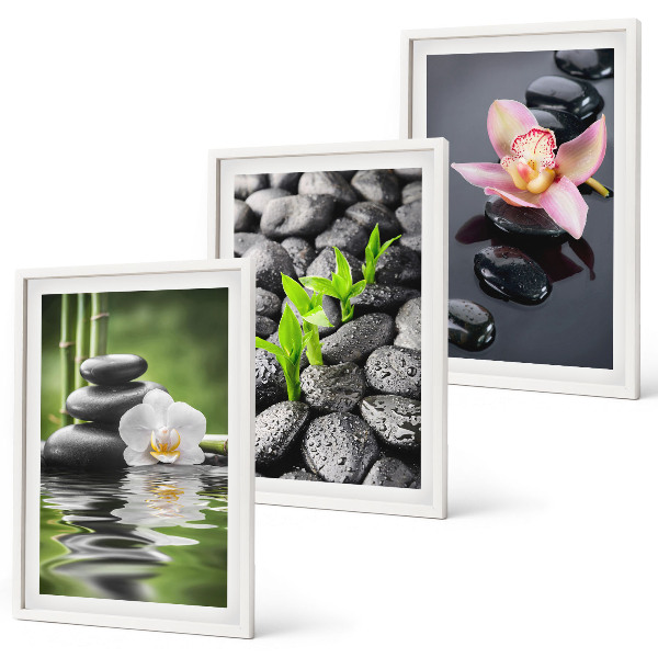 Cadre photo mural Une composition zen apaisante de fleurs et d'eau