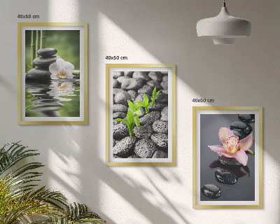 Cadre photo mural Une composition zen apaisante de fleurs et d'eau