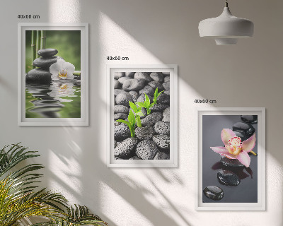 Cadre photo mural Une composition zen apaisante de fleurs et d'eau