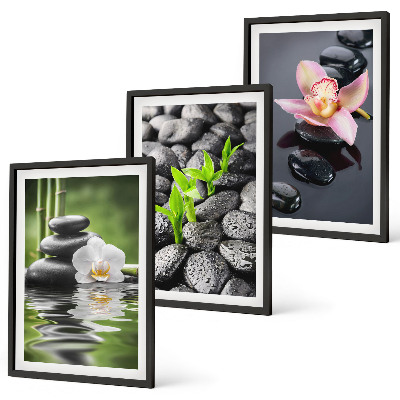 Cadre photo mural Une composition zen apaisante de fleurs et d'eau