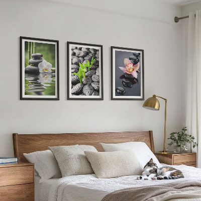 Cadre photo mural Une composition zen apaisante de fleurs et d'eau