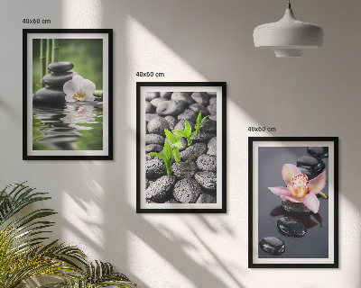 Cadre photo mural Une composition zen apaisante de fleurs et d'eau