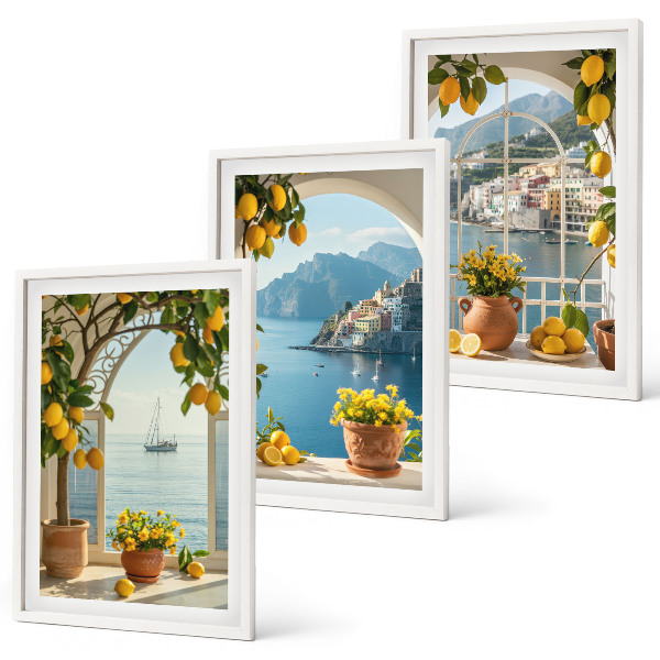 Lot de 3 tableaux pour salon Citronniers en fleurs de ville côtière