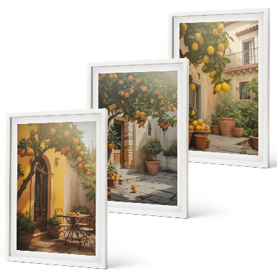 Cadre photo mural Pots d'agrumes ensoleillés sur la terrasse