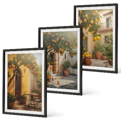 Cadre photo mural Pots d'agrumes ensoleillés sur la terrasse