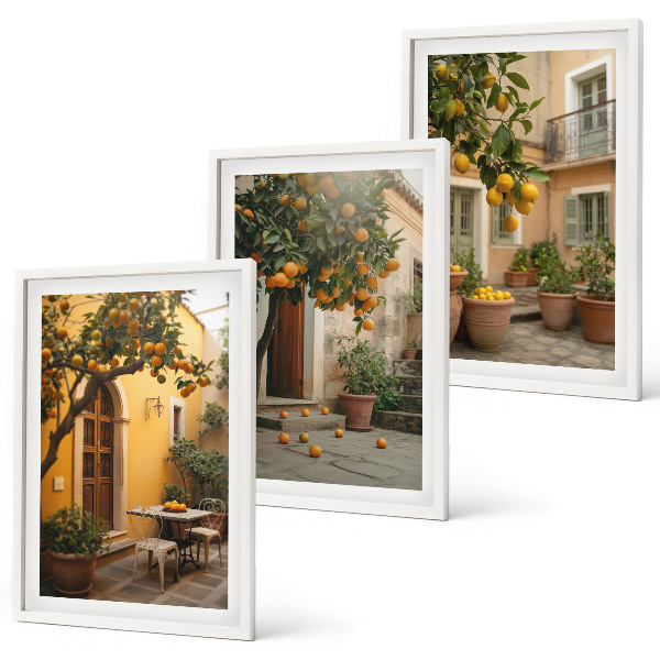 Lot de 3 tableaux pour salon Agrumes du jardin ensoleillé
