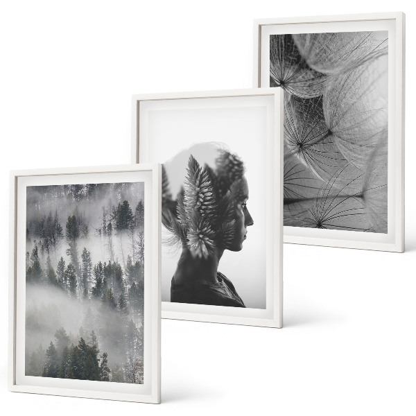 Lot de 3 tableaux pour salon Portrait de forêt brume arbre pissenlit