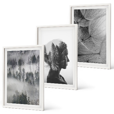 Lot de 3 tableaux pour salon Portrait de forêt brume arbre pissenlit