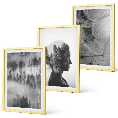Lot de 3 tableaux pour salon Portrait de forêt brume arbre pissenlit