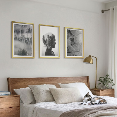 Lot de 3 tableaux pour salon Portrait de forêt brume arbre pissenlit