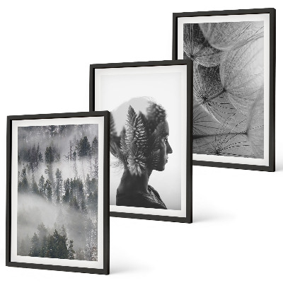 Lot de 3 tableaux pour salon Portrait de forêt brume arbre pissenlit