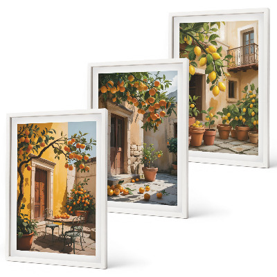 Cadre photo mural Agrumes Plantes de cour