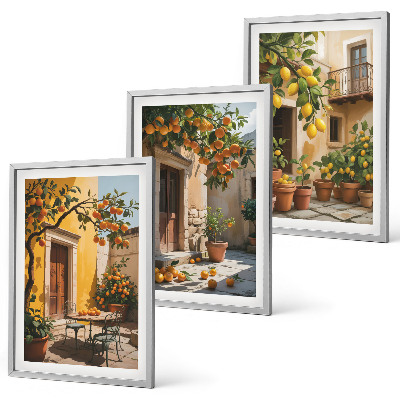 Cadre photo mural Agrumes Plantes de cour
