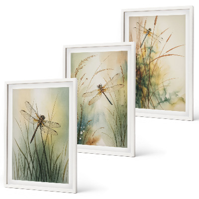 Cadre photo mural Libellules, herbes au-dessus de l'eau
