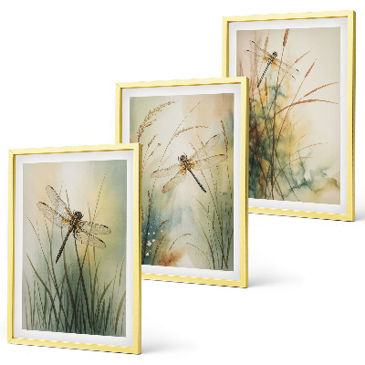 Cadre photo mural Libellules, herbes au-dessus de l'eau