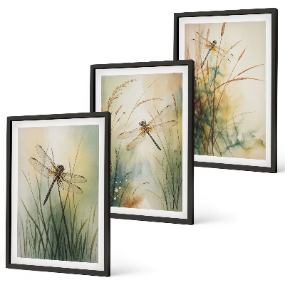Cadre photo mural Libellules, herbes au-dessus de l'eau