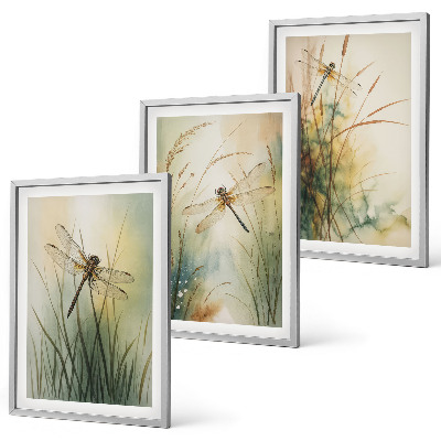 Cadre photo mural Libellules, herbes au-dessus de l'eau