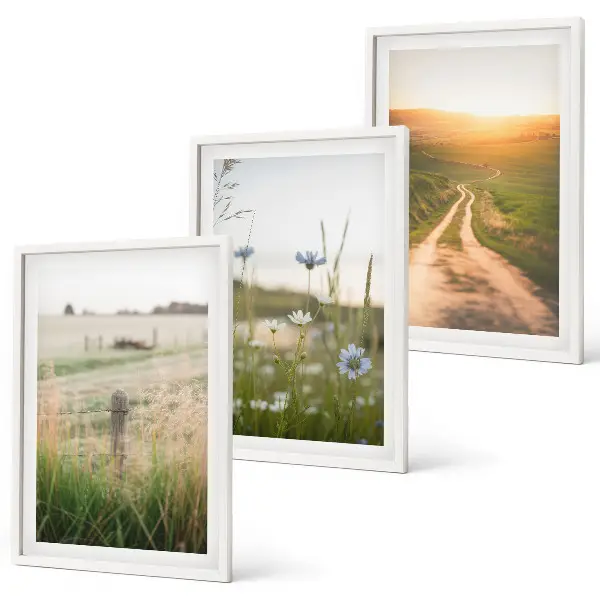 Lot de 3 tableaux pour salon motif paysages de nature avec champs et sentier
