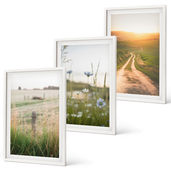 Lot de 3 tableaux pour salon Paysages, nature, champs, sentier