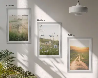 Lot de 3 tableaux pour salon motif paysages de nature avec champs et sentier