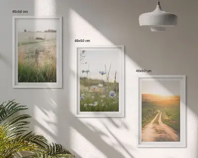 Lot de 3 tableaux pour salon motif paysages de nature avec champs et sentier