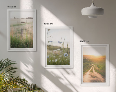 Lot de 3 tableaux pour salon Paysages, nature, champs, sentier