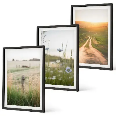 Lot de 3 tableaux pour salon motif paysages de nature avec champs et sentier