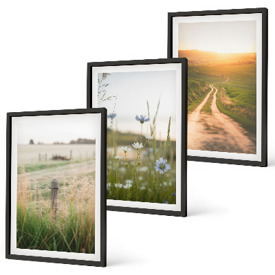 Lot de 3 tableaux pour salon Paysages, nature, champs, sentier