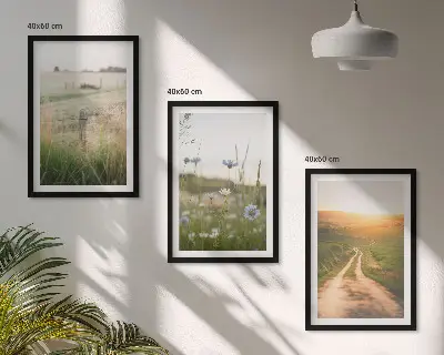 Lot de 3 tableaux pour salon motif paysages de nature avec champs et sentier