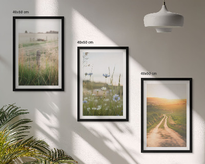 Lot de 3 tableaux pour salon Paysages, nature, champs, sentier