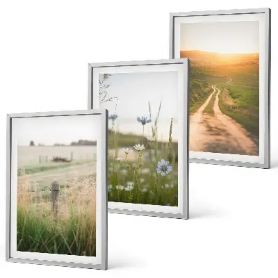 Lot de 3 tableaux pour salon motif paysages de nature avec champs et sentier