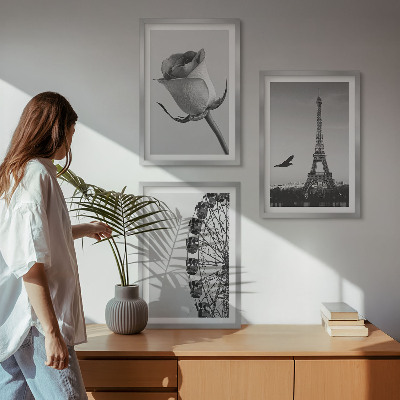Cadre photo mural Tour Eiffel rose, grande roue