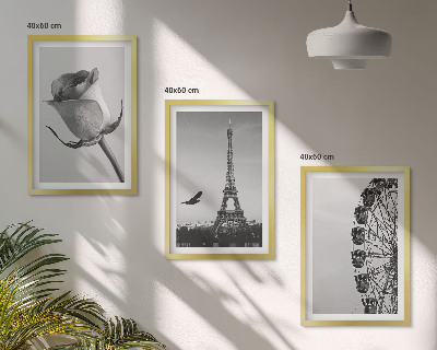 Cadre photo mural Tour Eiffel rose, grande roue