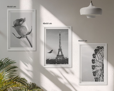 Cadre photo mural Tour Eiffel rose, grande roue