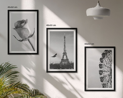 Cadre photo mural Tour Eiffel rose, grande roue