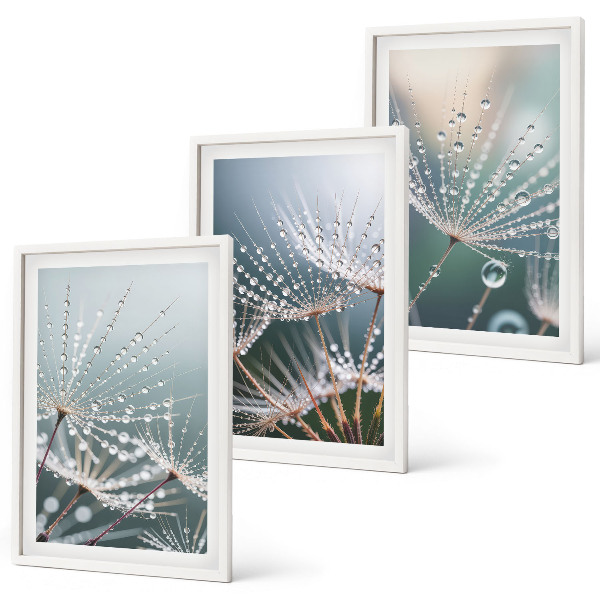 Cadre photo mural Gouttes d'eau sur les pousses de pissenlit