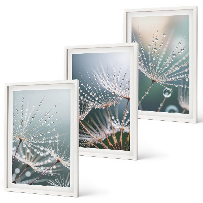 Cadre photo mural Gouttes d'eau sur les pousses de pissenlit