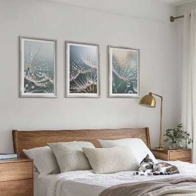 Cadre photo mural Gouttes d'eau sur les pousses de pissenlit