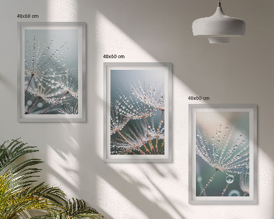 Cadre photo mural Gouttes d'eau sur les pousses de pissenlit